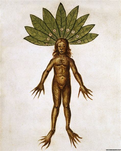 mandragora monster.